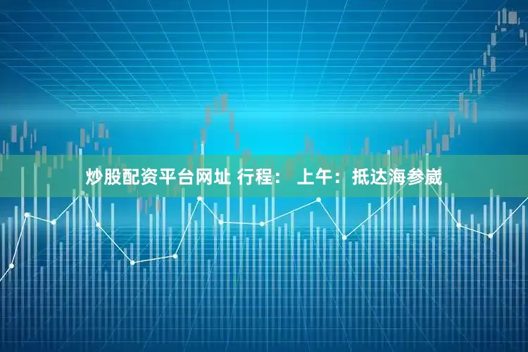 炒股配资平台网址 行程： 上午：抵达海参崴