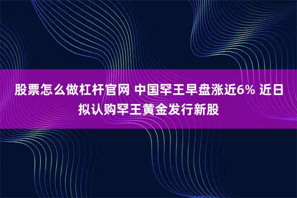 股票怎么做杠杆官网 中国罕王早盘涨近6% 近日拟认购罕王黄金发行新股
