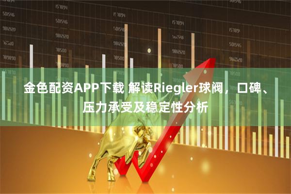 金色配资APP下载 解读Riegler球阀,口碑、压力承受及稳定性分析